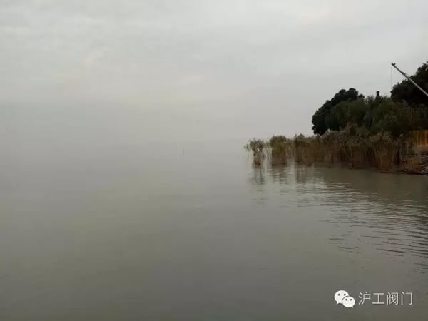 上海滬工閥門廠2016年秋季徒步毅行活動 圖26