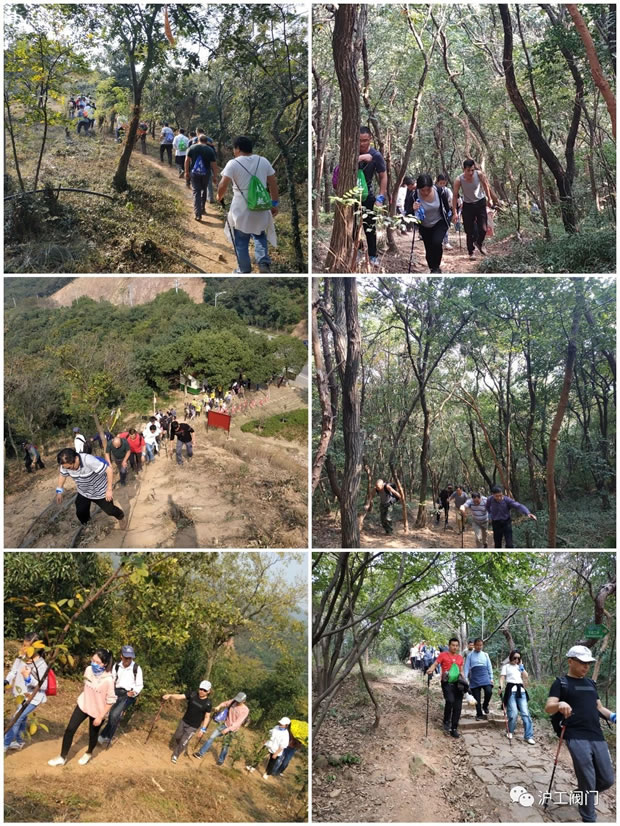 上海滬工閥門廠2019年秋季徒步毅行活動(圖6)
